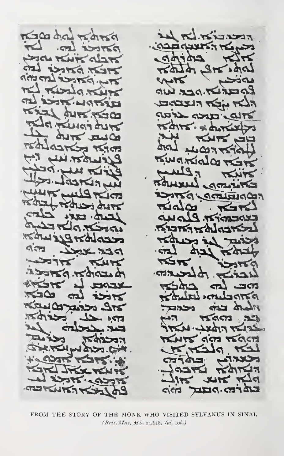 A photographic plate reproducing two columns of Syriac script in a dense, even hand, printed in black on a lighter ground. A printed caption runs beneath the columns in small capitals.